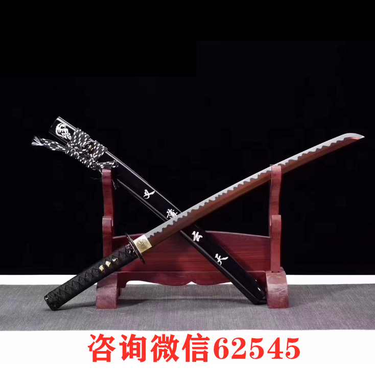 《紫侠客2代》